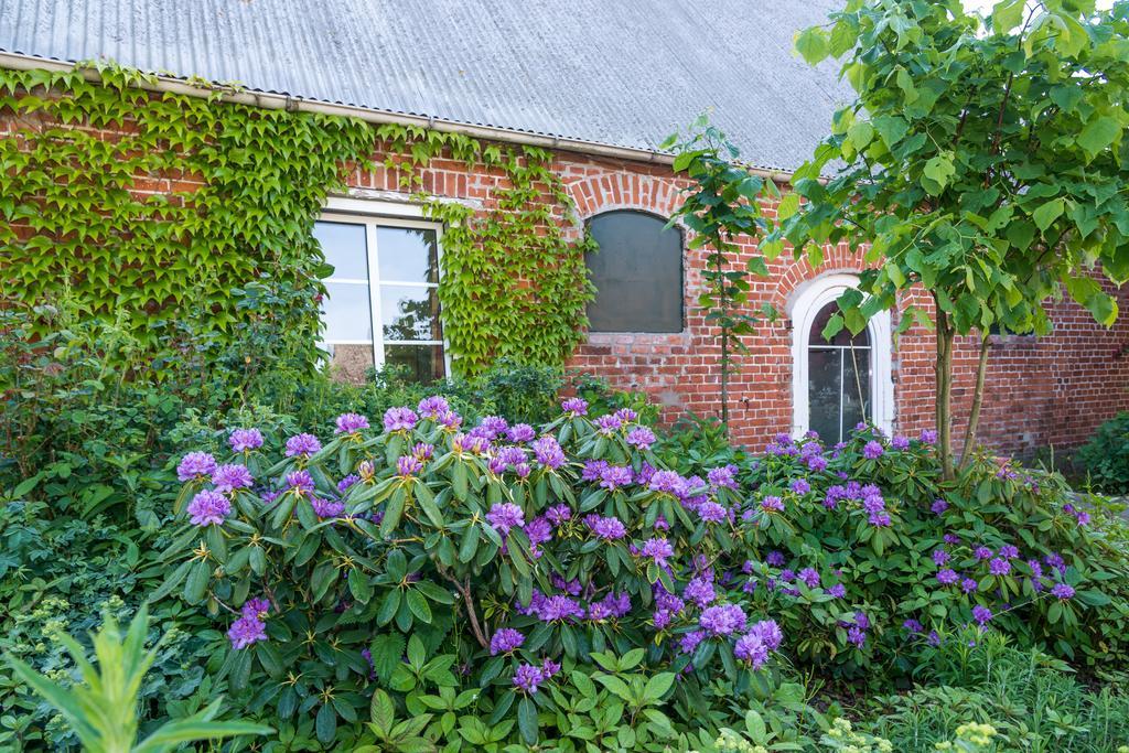 Ferienhof Kolauerhof - Bauernhofurlaub In Grömitz Buitenkant foto