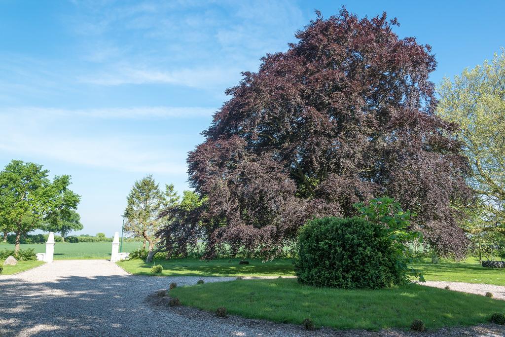 Ferienhof Kolauerhof - Bauernhofurlaub In Grömitz Buitenkant foto